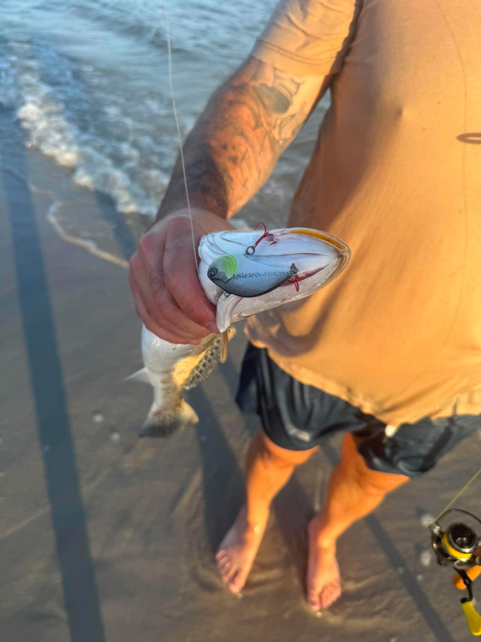 Speckled Trout