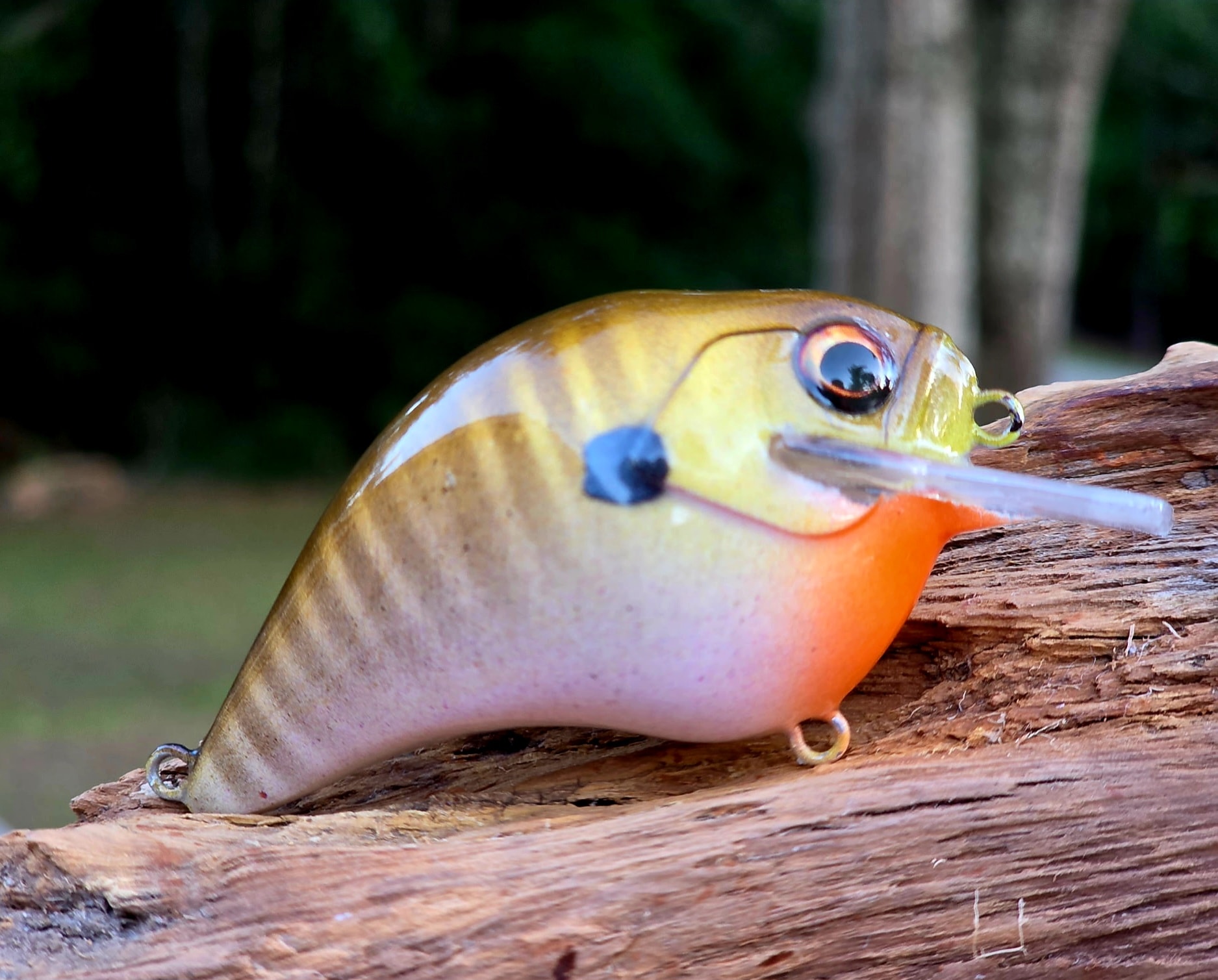 S-Crank Squarebill