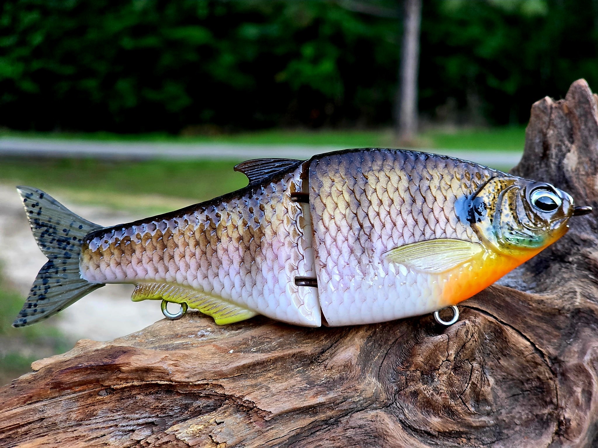 Bluegill Glidebait 6 Inch