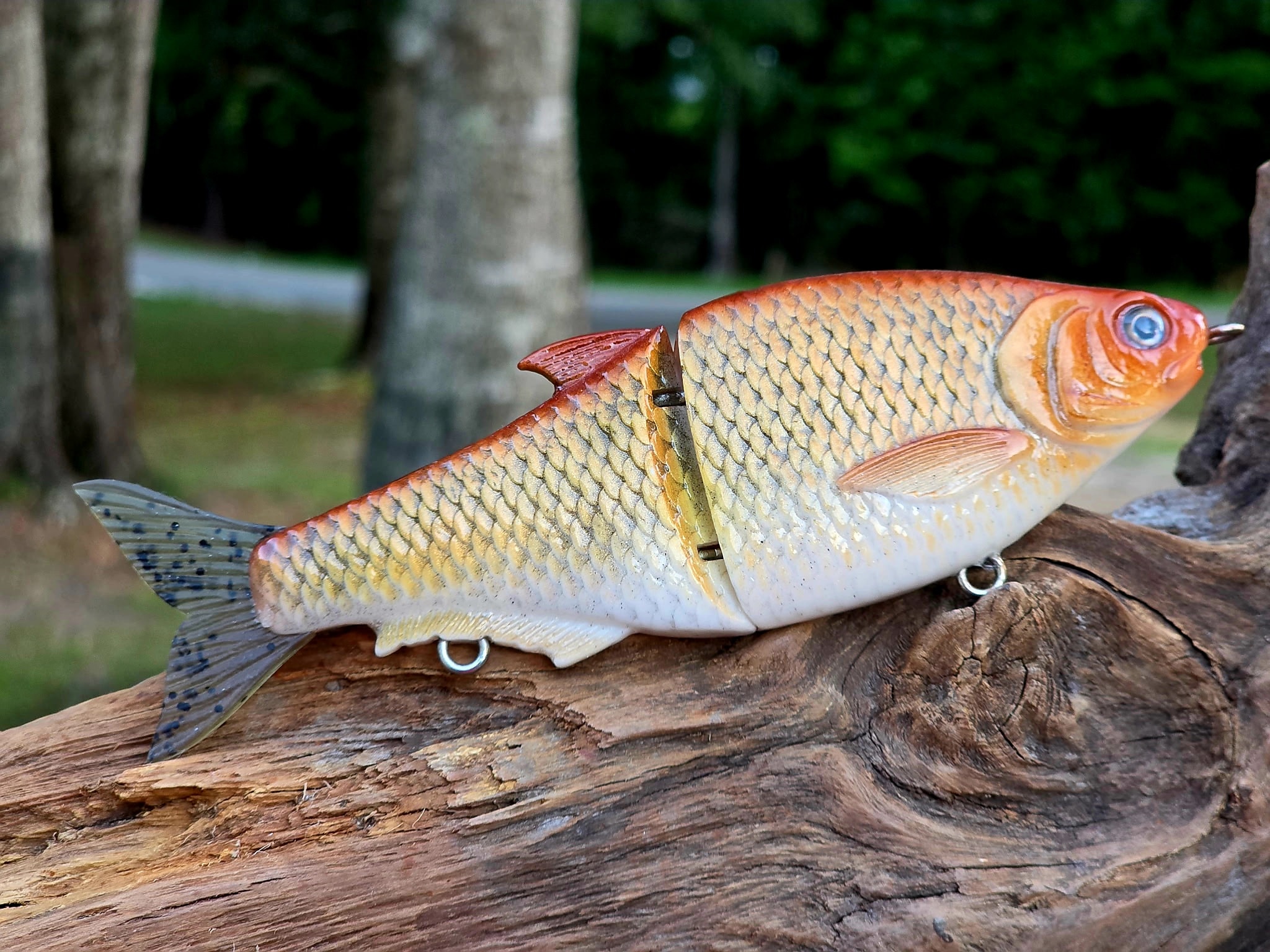 Golden Shiner Glidebait 6 Inch