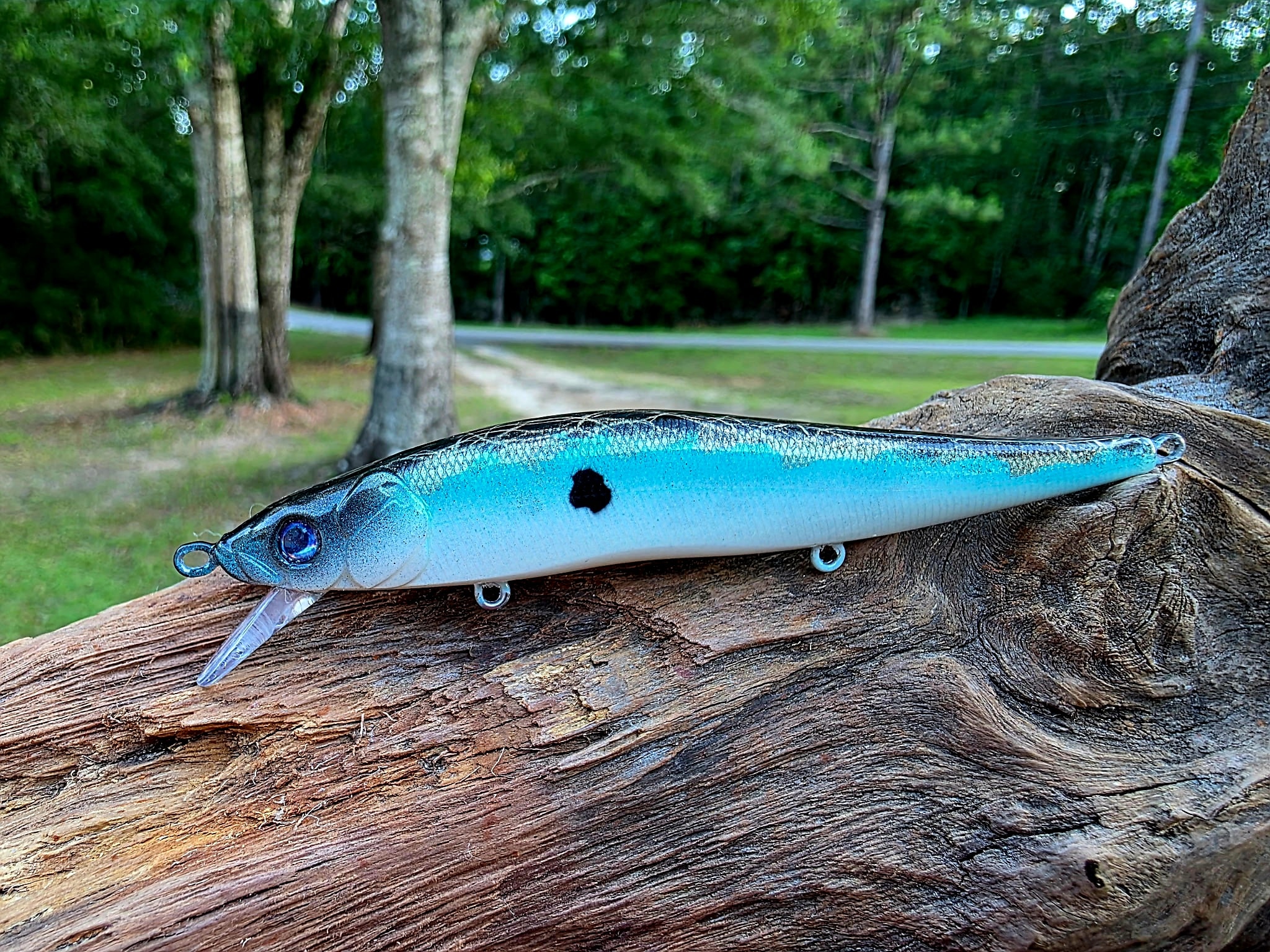 110 Jerkbait