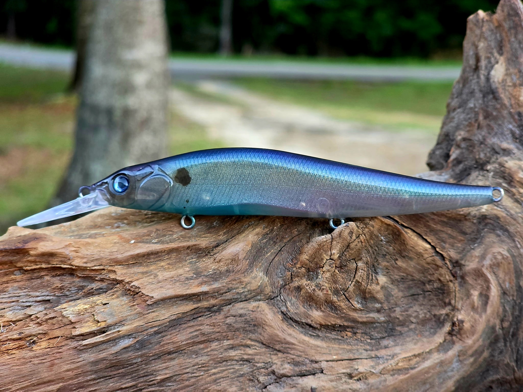 110 Jerkbait