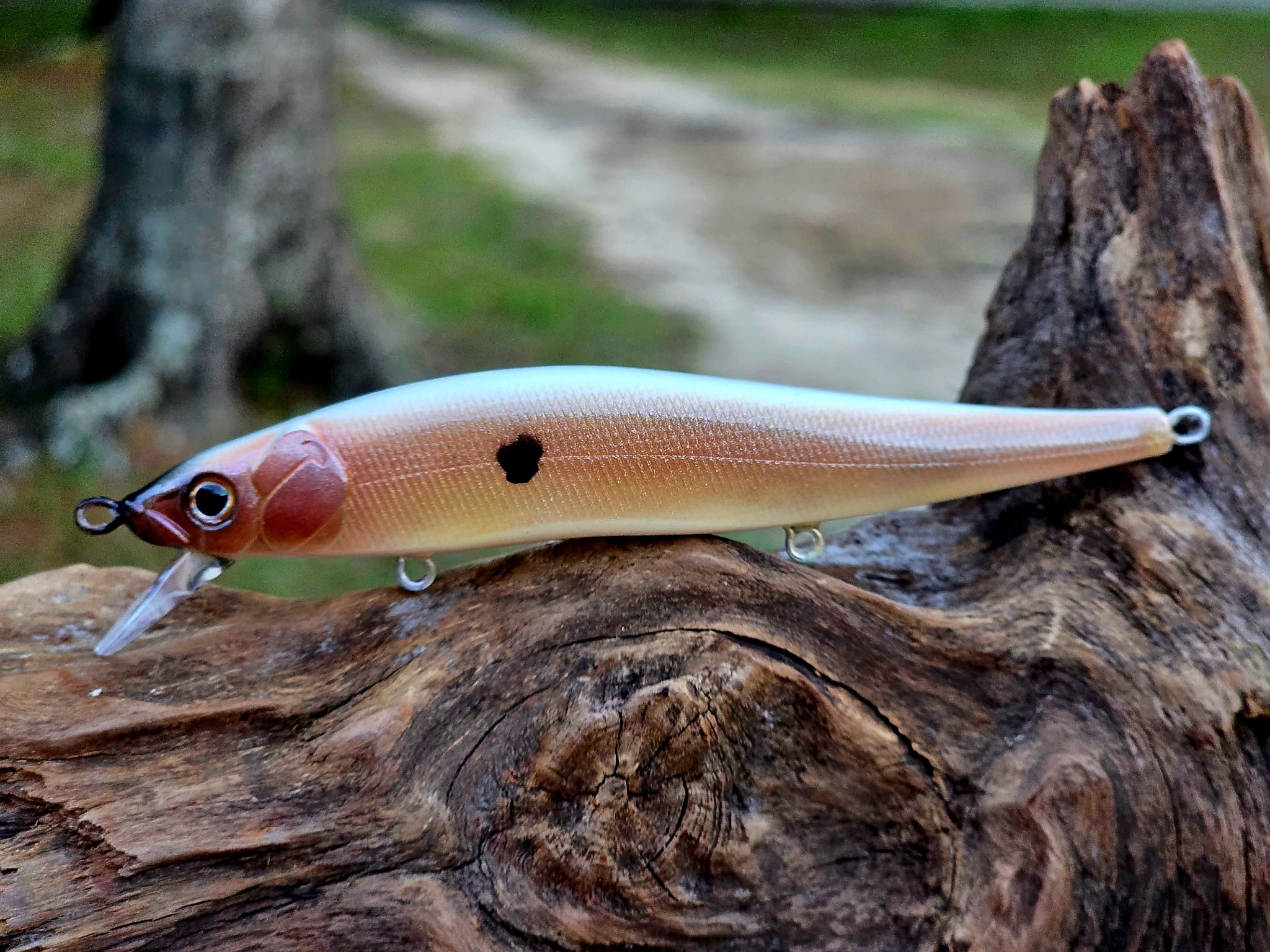 110 Jerkbait
