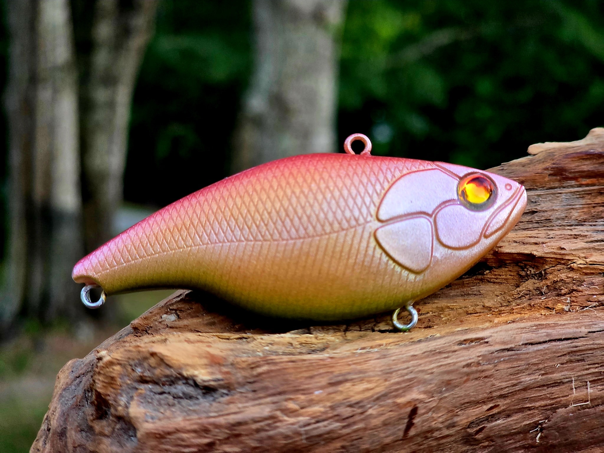 Sunset Minnow